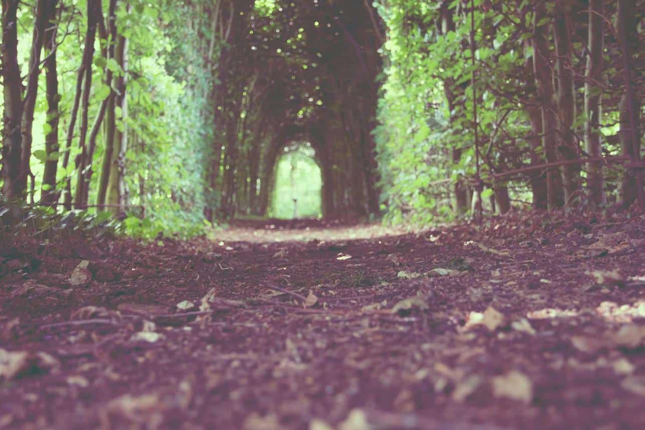 Nihil est sed possimus sed